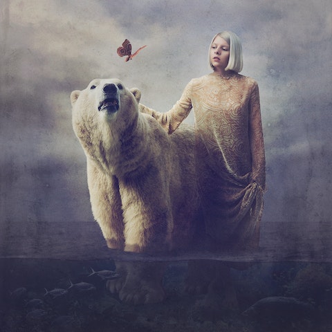 aurora_animal