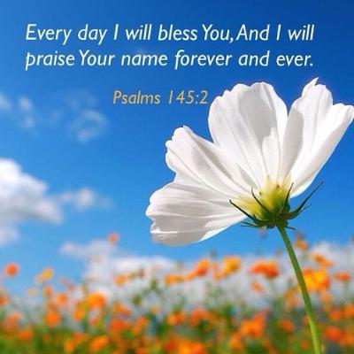 Moses - Unshakable Faith 6-29-25