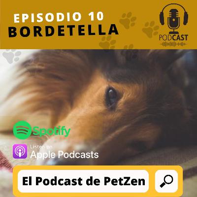 Episodio #10 Bordetella