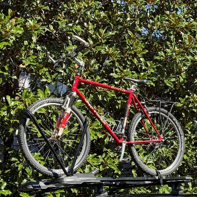 Savoring vs Competing: The Mindset