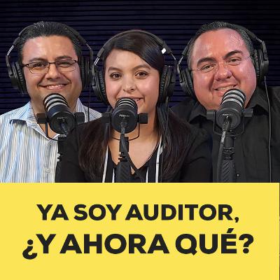 ¿Qué implica ser auditor y qué papel desempeña en el proceso de auditoría?