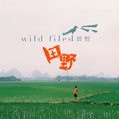 台风来时 大自然的声音 纯音乐［声谷］