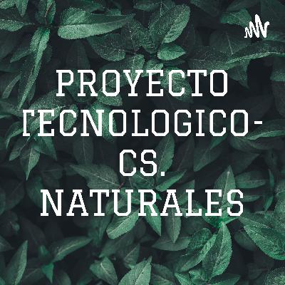 ESPECIALIDAD DE TRINIDAD VAGLIENGO