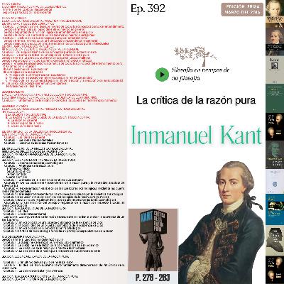 #392 LA CRÍTICA DE LA RAZÓN PURA #Día23 | LIBRO PRIMERO: DE LA DIALÉCTICA TRASCENDENTAL LOS CONCEPTOS DE LA RAZÓN PURA   Capítulo I: Las ideas en general