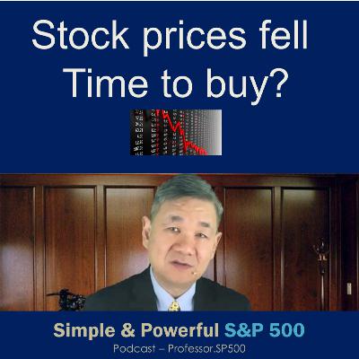 Ep 007 - Stock Prices Fell. Time to Buy?