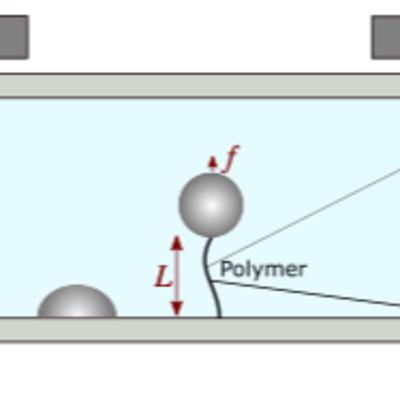 Glassy dynamics of intrinsically disordered proteins