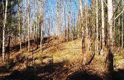 Valsts aizsardzībā nonāks jauni arheoloģijas, kultūras un arhitektūras objekti Valsts aizsardzībā nonāks jauni arheoloģijas, kultūras un arhitektūras objekti