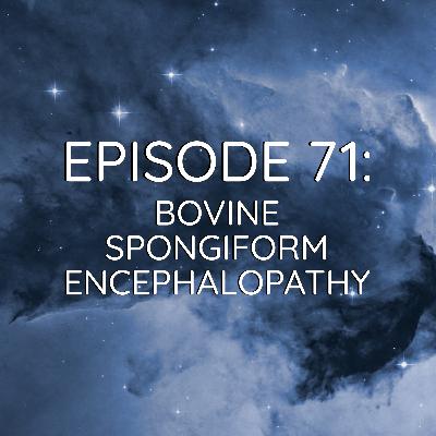 WDYK 71 - Bovine Spongiform Encephalopathy