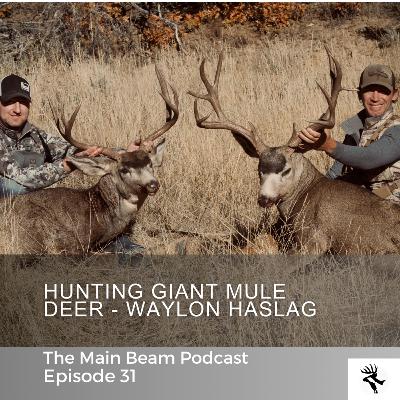 Hunting Mule Deer With Waylon Haslag | EP31