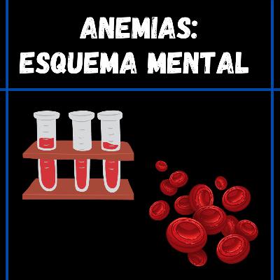 Capítulo 157: Entendiendo las anemias