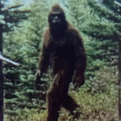 2 TRUE SCARY BIGFOOT HUNT HORROR STORIES