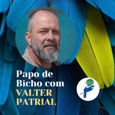 Papo de Bicho #39 com VALTER PATRIAL