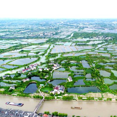 浙江湖州荻港村：新晋的世界“最佳旅游乡村”