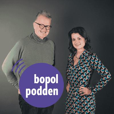#297 Gunnar Wetterberg om byggandets roll i Sverige – från Hedenhös till idag