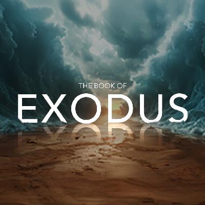 Do You Know Who Yahweh Is (Exodus 16:1-36)