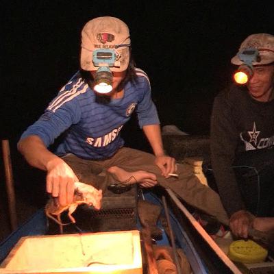 Người cũ cảnh xưa: Chim trời, cá nước, rau đồng (Bài 7): Đêm săn chuột đồng mùa nước nổi ở miền Tây Người cũ cảnh xưa: Chim trời, cá nước, rau đồng (Bài 7): Đêm săn chuột đồng mùa nước nổi ở miền Tây