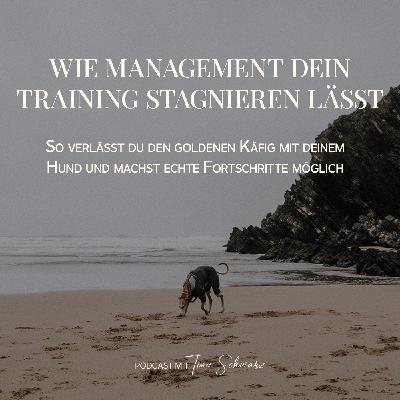 Wie Management dein Training stagnieren lässt Wie Management dein Training stagnieren lässt