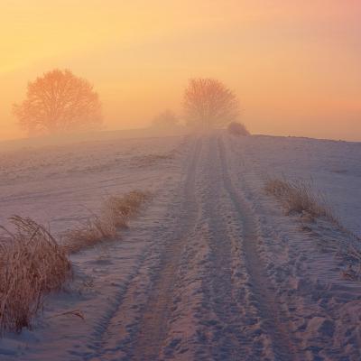 Adventkalender #9 Jan Nast