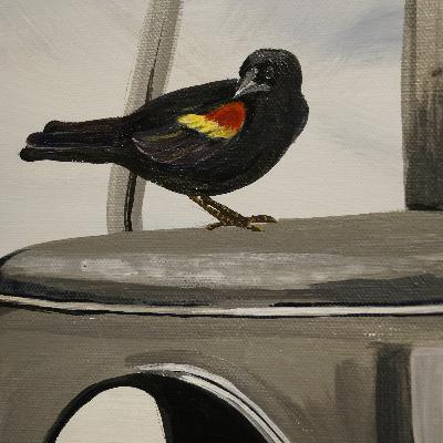 Julie Schram: Birds on Chairs Julie Schram: Birds on Chairs