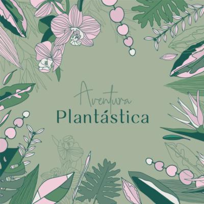 50. PLANTA DEL MES: Hoya Kerri 💚 [T3.E10]