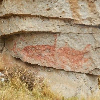 La domesticación de los camélidos en los andes centrales