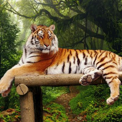 El guardián del parque jurásico