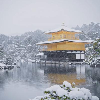 Japanese Zen Music: Deep Relaxation for Meditation, Sleep & Inner Peace