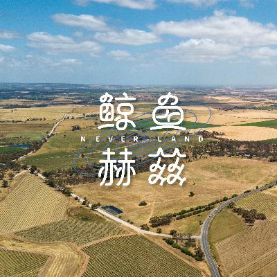 Vol.232 踩着鼓点进入秋天，你有哪些心流瞬间？