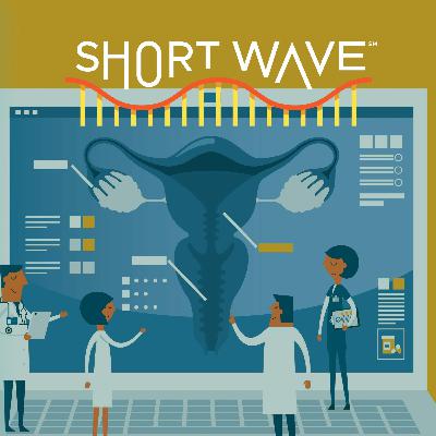 A Surprising Cause Of Endometriosis Could Lead To Cure