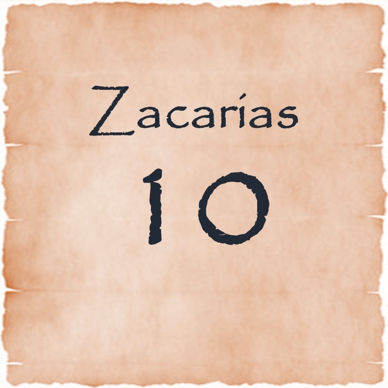 Zacarias 10 episode artwork