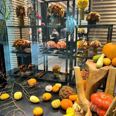 ハロウィン　なぜ人は悪しきものに魅かれるのか