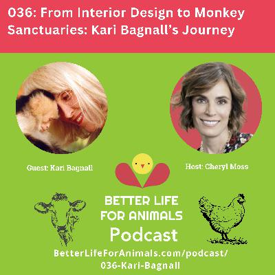 036: From Interior Design to Monkey Sanctuaries: Kari Bagnall's Journey 036: From Interior Design to Monkey Sanctuaries: Kari Bagnall's Journey
