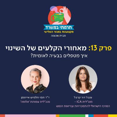 פרק 13 - מאחורי הקלעים של השינוי: איך מטפלים בבעיה לאומית?
