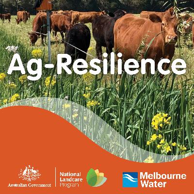 Understanding farm dam emissions and taking action to turn pollution into a solution