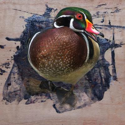 The Art of Hunting with Artist, Kenneth Laird The Art of Hunting with Artist, Kenneth Laird