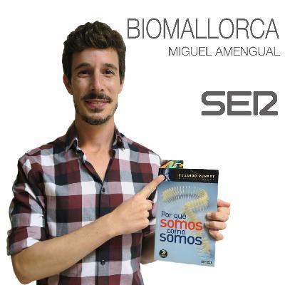 BioMallorca 05 - Explorando las tripas de Marte BioMallorca 05 - Explorando las tripas de Marte