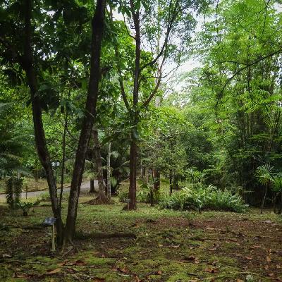 301「爱自己」是个伪命题吗？