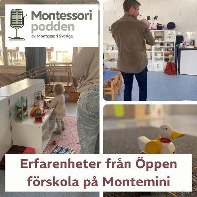 Erfarenheter av Öppen förskola på Montermini