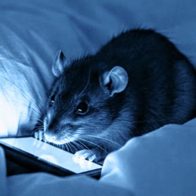 אנשי החולדה כאן