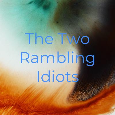 The return of the two idiots