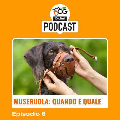 Museruola: quando usarla, come indossarla e quale scegliere Museruola: quando usarla, come indossarla e quale scegliere