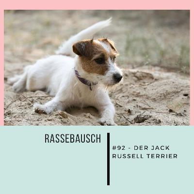 #92 Rassebausch: Der Jack Russell Terrier