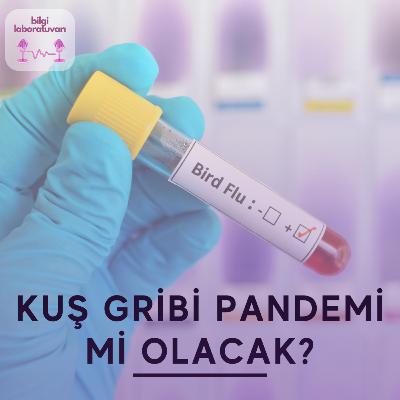 Kuş gribi yeni bir pandemi olabilir mi?