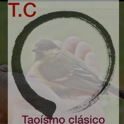 Prácticas Taoístas. ¿Por donde empezar? T:2.Cap. 24