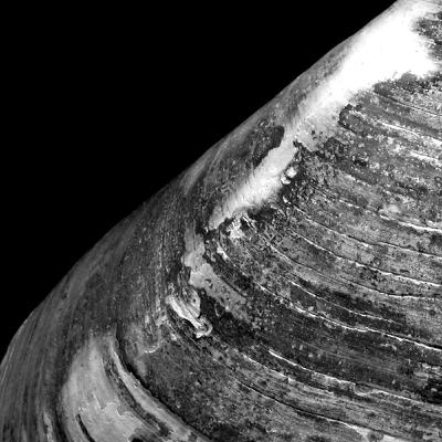 20251223 - 和媽媽電話，健身，養生，丟失的耳機突然找回！