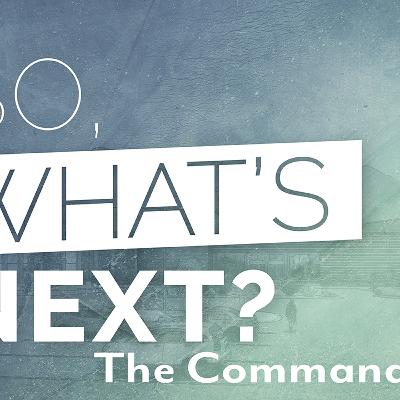 The Commandment