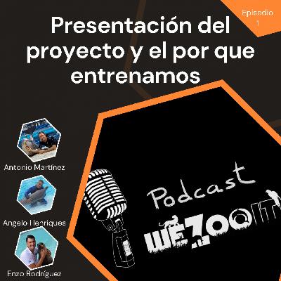 #1 Presentación del proyecto y el por que entrenamos