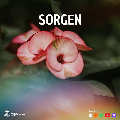 Sorgen Sorgen