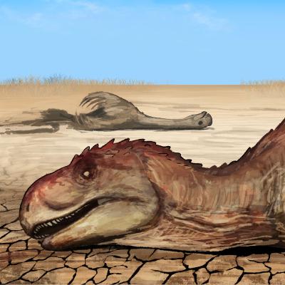 When Summer Lasted For 10,000,000 Years