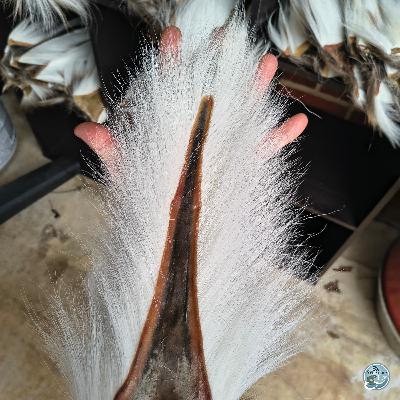 S8, Ep 5: Frosty Mornings and Musky Pursuits: January Fishing Insights with Ellis Ward S8, Ep 5: Frosty Mornings and Musky Pursuits: January Fishing Insights with Ellis Ward